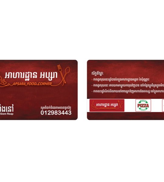 Printing plastic PVC VIP card/ plastic membership card